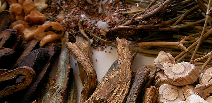 Chinese Herbs