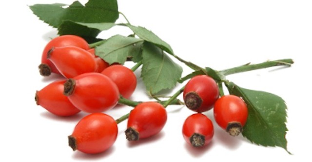 Rosehip Oil