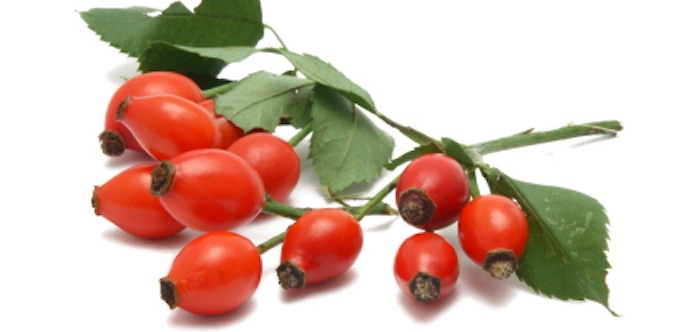 Rosehip Oil